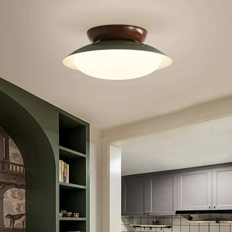 Modern New LED Ceiling Lamp Indoor Home Living Room Dining Room Study Bedroom Lighting