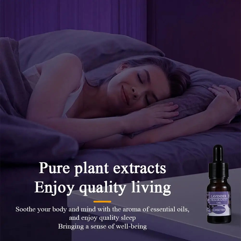 Car Perfume Refill Liquid Flavor Essential Oil with Dropper Car Air Freshener Refill For Air Humidifier Fragrance For Home Car