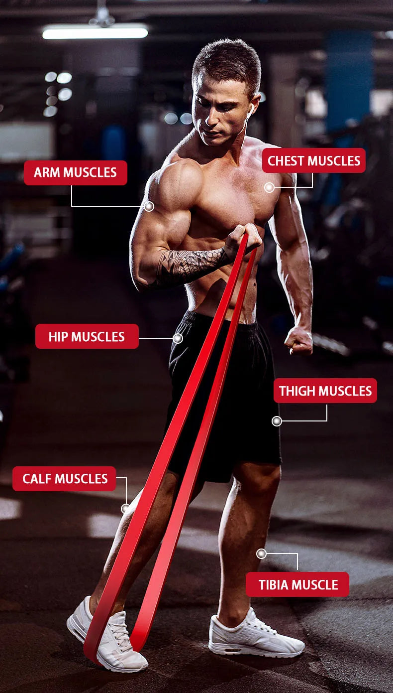 Resistance Band Set Pull Up Assistance Bands Stretch Band Resistance Heavy Workout Exercise for Physical Therapy Home Workouts