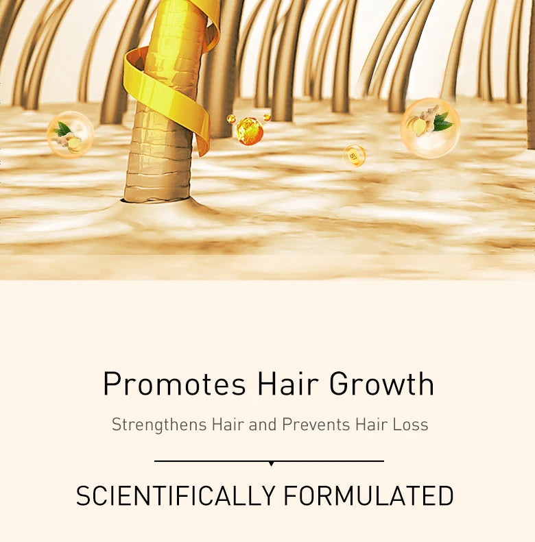 PURC Ginger Shampoo and Biotin Hair Growth Oil Set Fast Hair Growth Loss Treatment Hair Regrowth for Men Women Hair Care