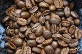 Dalakon Whole Bean Robusta Coffee 500g Italian Style Espresso Best Price Bulk Pack From Vietnam in Bag