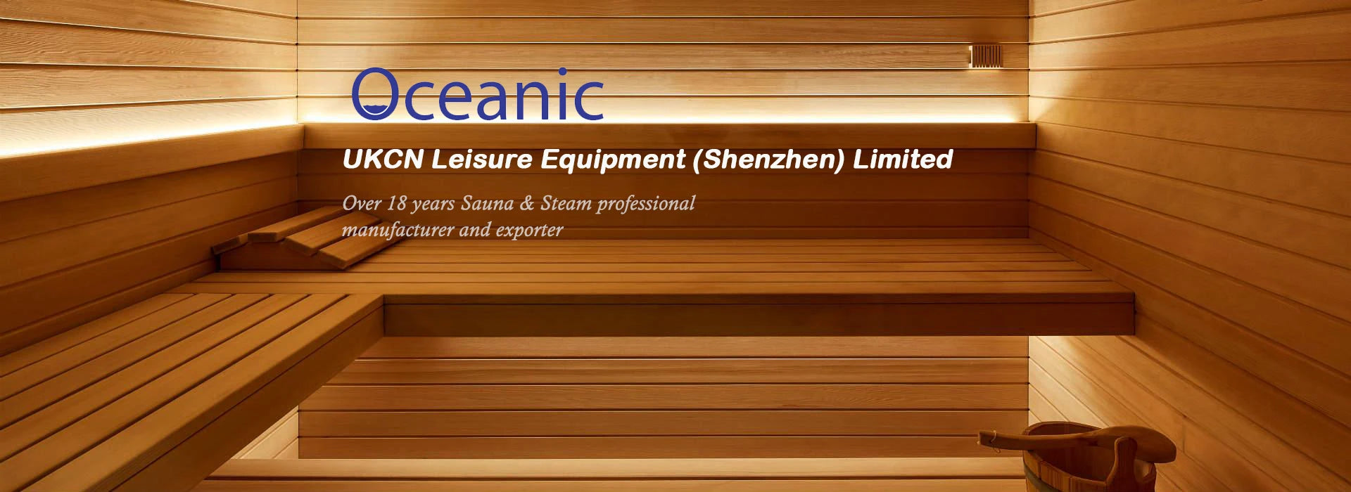 Marine steam generator with digital controller 3kw bathroom steam generator with digital controller