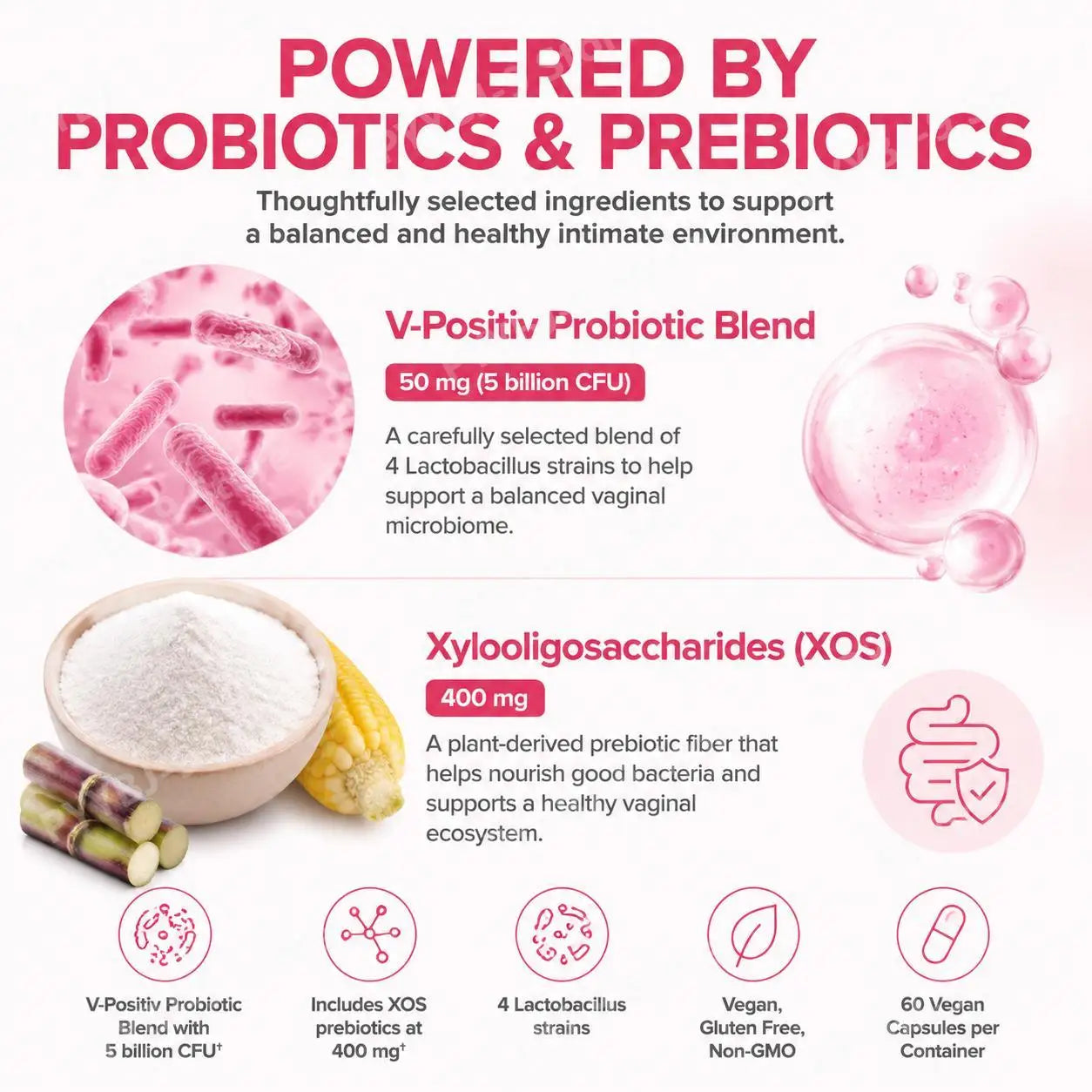 Women's Vaginal Probiotic Capsules, 5 Billion CFU, Healthy Odor Support, PH Yeast Balance & Flora Support, Vegan, 60 Count