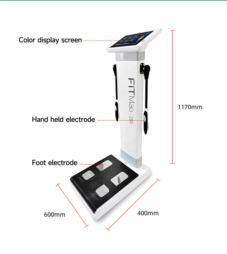 2025 Newest Body Fat and Muscle Analyzer With Bioimpedance Machine With Printer Bioelectrical Impedance Analysis