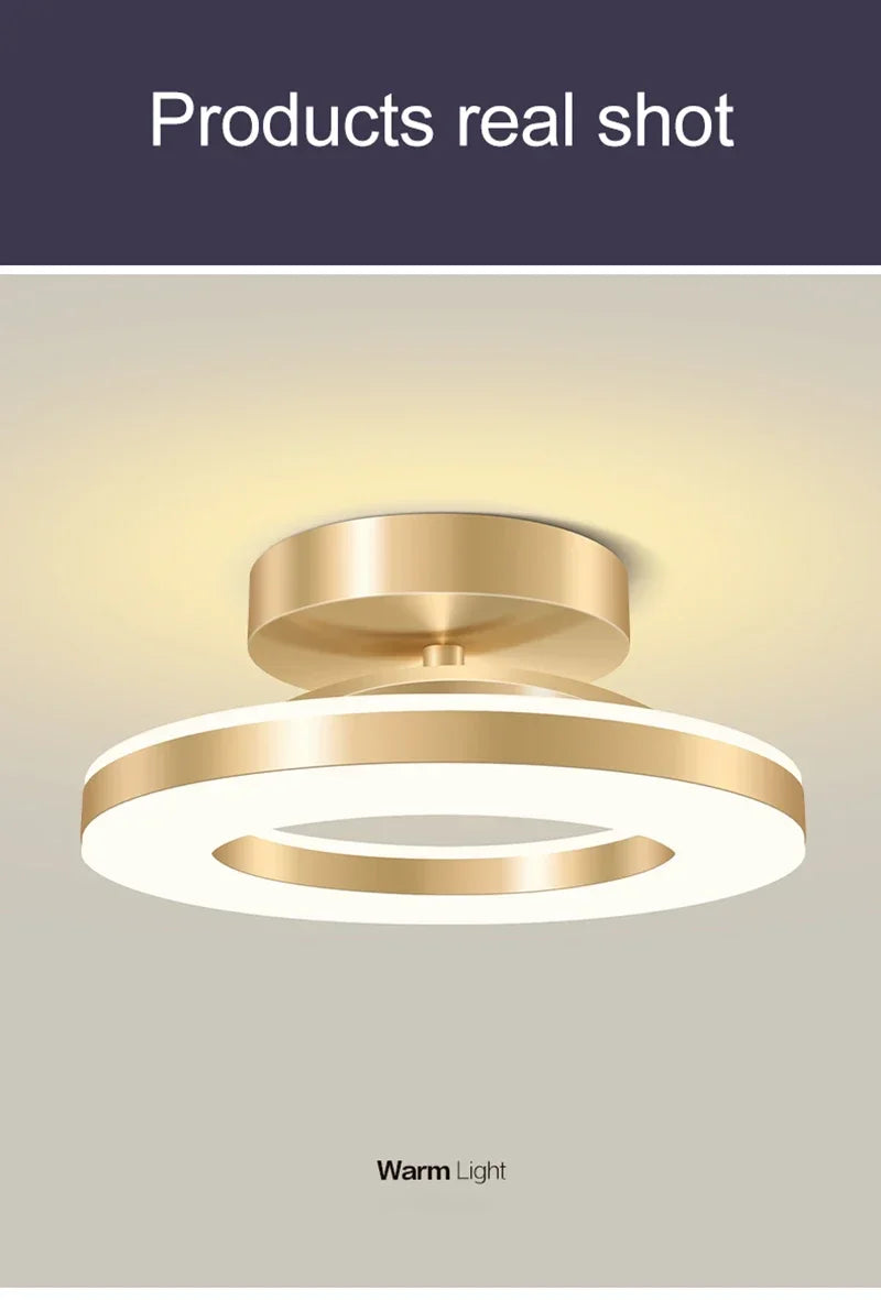 Modern LED Ceiling Lamp Indoor Lighting Home Decoretion for Bedroom Dining Table Living Room Balcony Corridor Ceiling Light