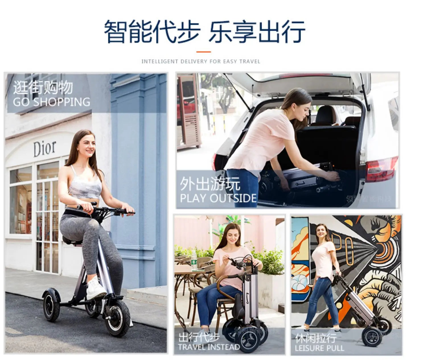 Ultra Light Foldable Electric Bike for Adults with Lithium Battery Portable E Bike for Men Women