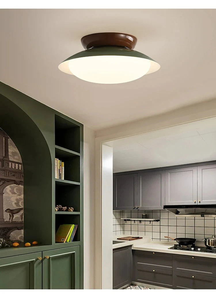 Modern New LED Ceiling Lamp Indoor Home Living Room Dining Room Study Bedroom Lighting