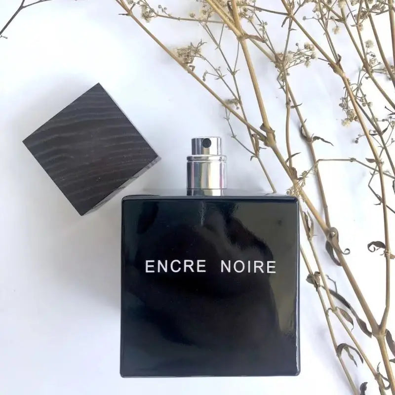 100ml Black Ink Men's Perfume, Woody Eau De Toilette - Woody Cologne for Men, Long Lasting Scent
