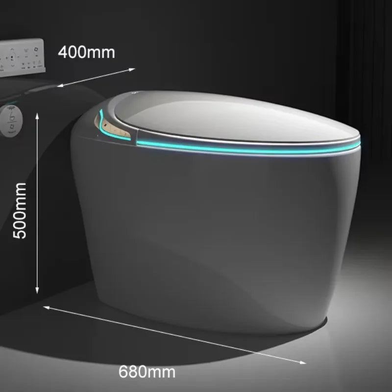 Fully automatic smart toilet, slender bowl seat with instant hot water tank, heating remote control - all features included