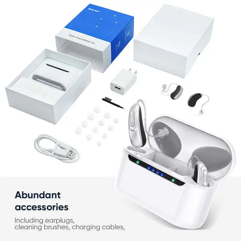 2026 Best Elderly Hearing Aid Rechargeable Deaf 30 channel program Mini Wireless Sound Amplifier Invisible Hearing Aids