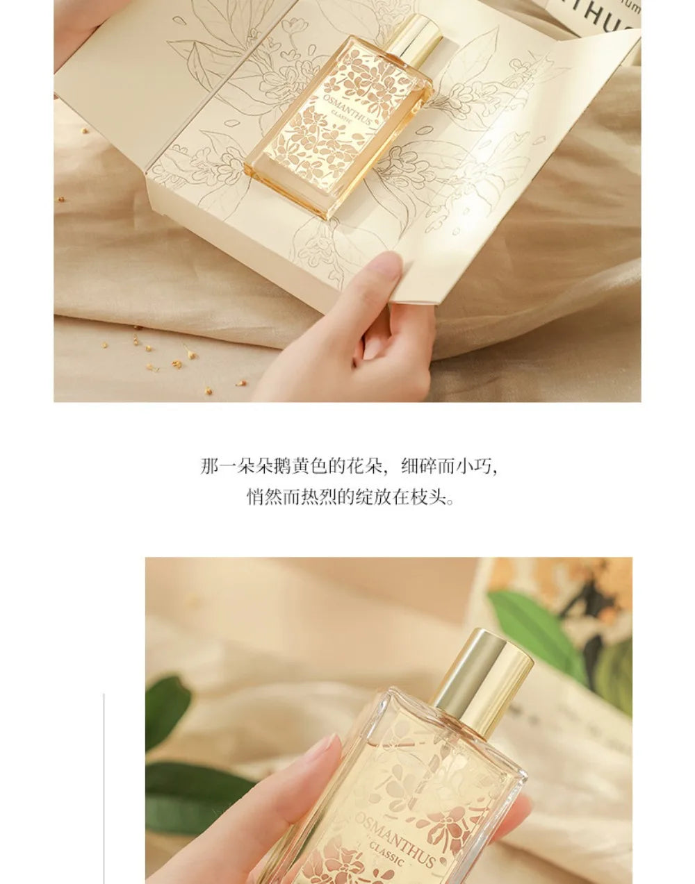 50ml SHIMANG Osmanthus Women Perfume Fresh Sweet Osmanthus Floral Fragrance Long Lasting Portable Spray Ladies Gift Perfume