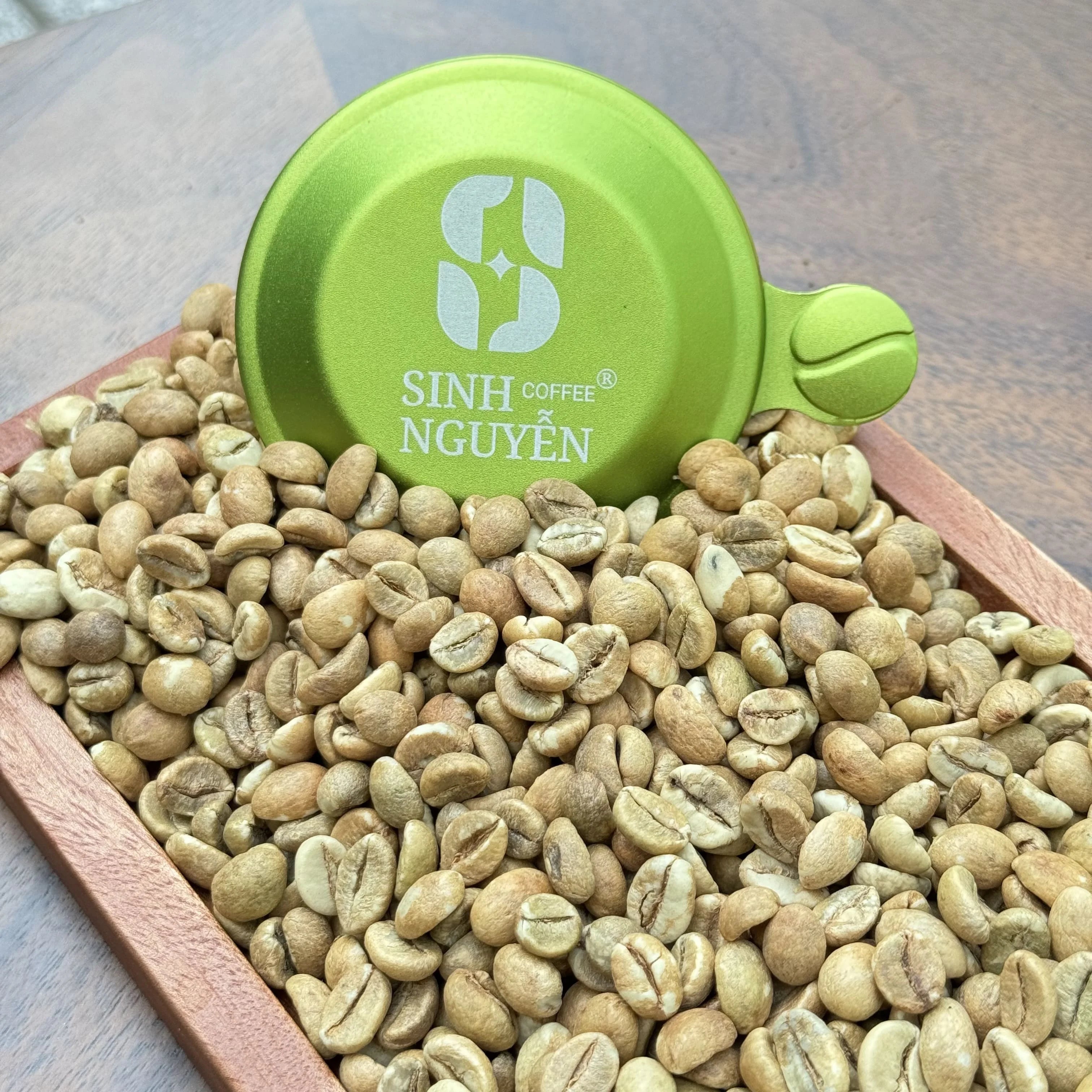 Vietnamese Robusta Premium Grade Green Coffee Honey Process 50kg/bag for Espresso and Instant Use