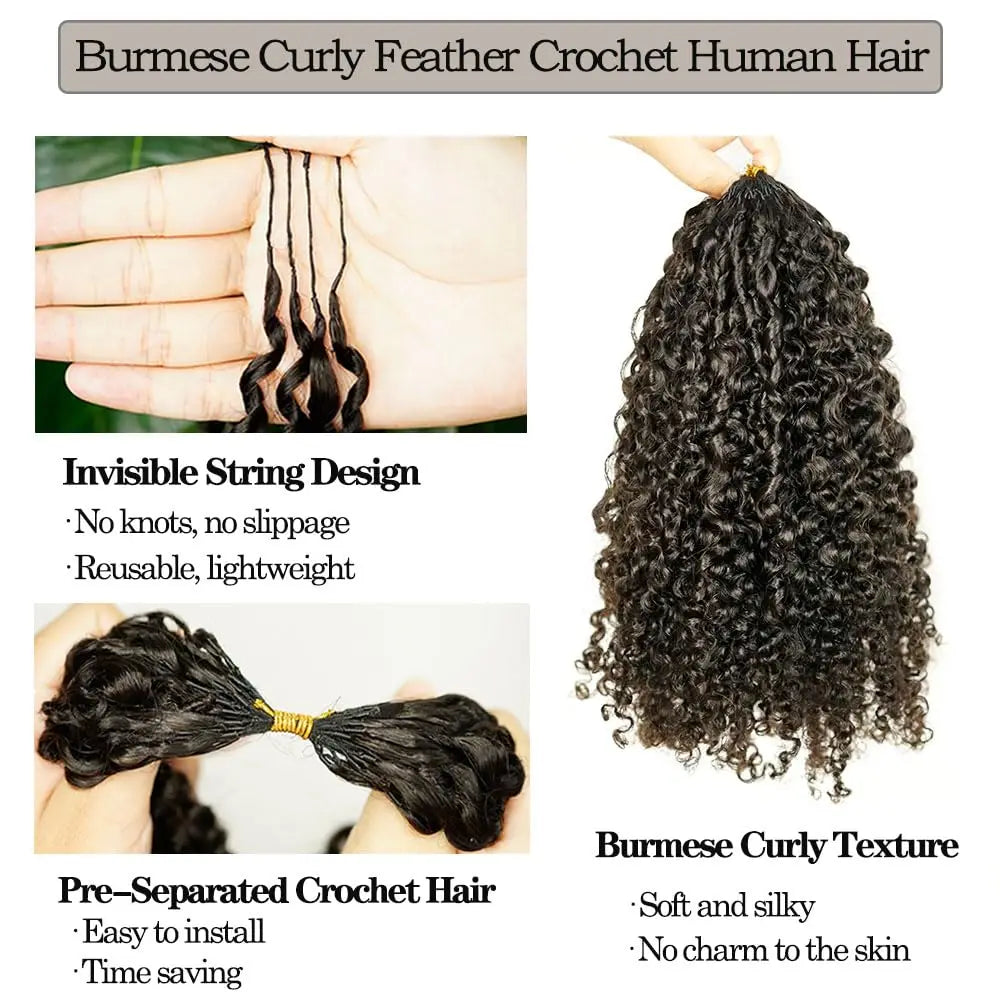 Pre Looped Feather Crochet Human Hair Kinky Curly For Black Women Pre Separated Knotless Burmese Curly Hair For Braiding