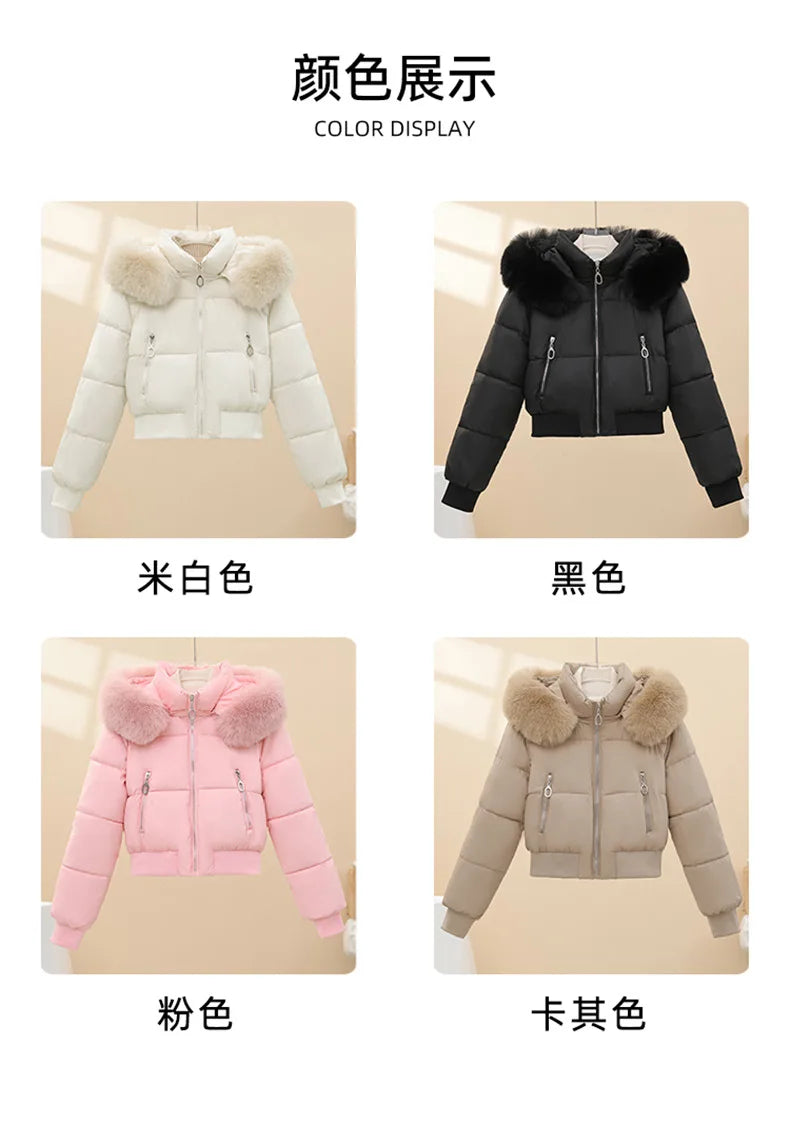 New Women's Big Fur Collar Down Cotton Jacket Winter Short Thermal Padded Jacket Female Removable Hooded Parker Cotton Clothes