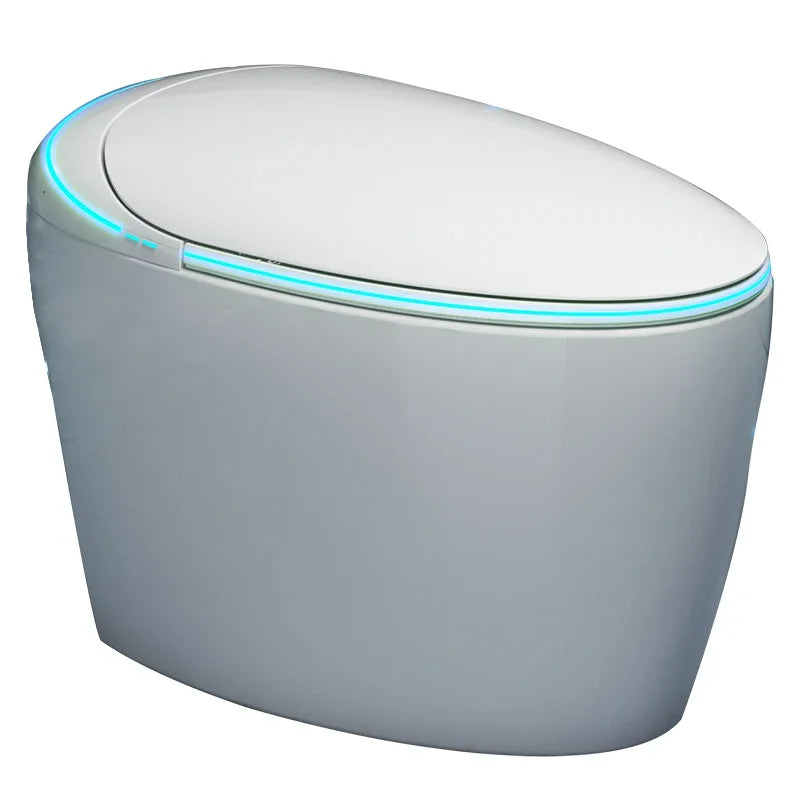 Intelligent toilet egg shaped seat with fully automatic and no water pressure limit