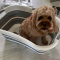 dog toy Portable Foldable Elevated Dog Bathing Station Collapsible Bathtub for Indoor Outdoor Adult Washing Made of Iron & PP