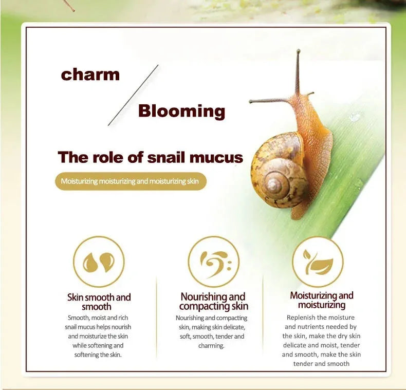 Snail Anti-Aging Face Cream Collagen Firming Fade Fine Lines Eye Massage Roller Anti Wrinkles Eye Bags Korean Skin Care Product