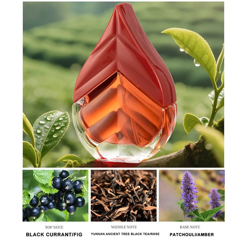Brand Unisex Oriental Tea Perfume Black Tea Green Tea Lasting Fragrance Eau De Toilette Niche Fresh Natural Tea Fragrance Spray