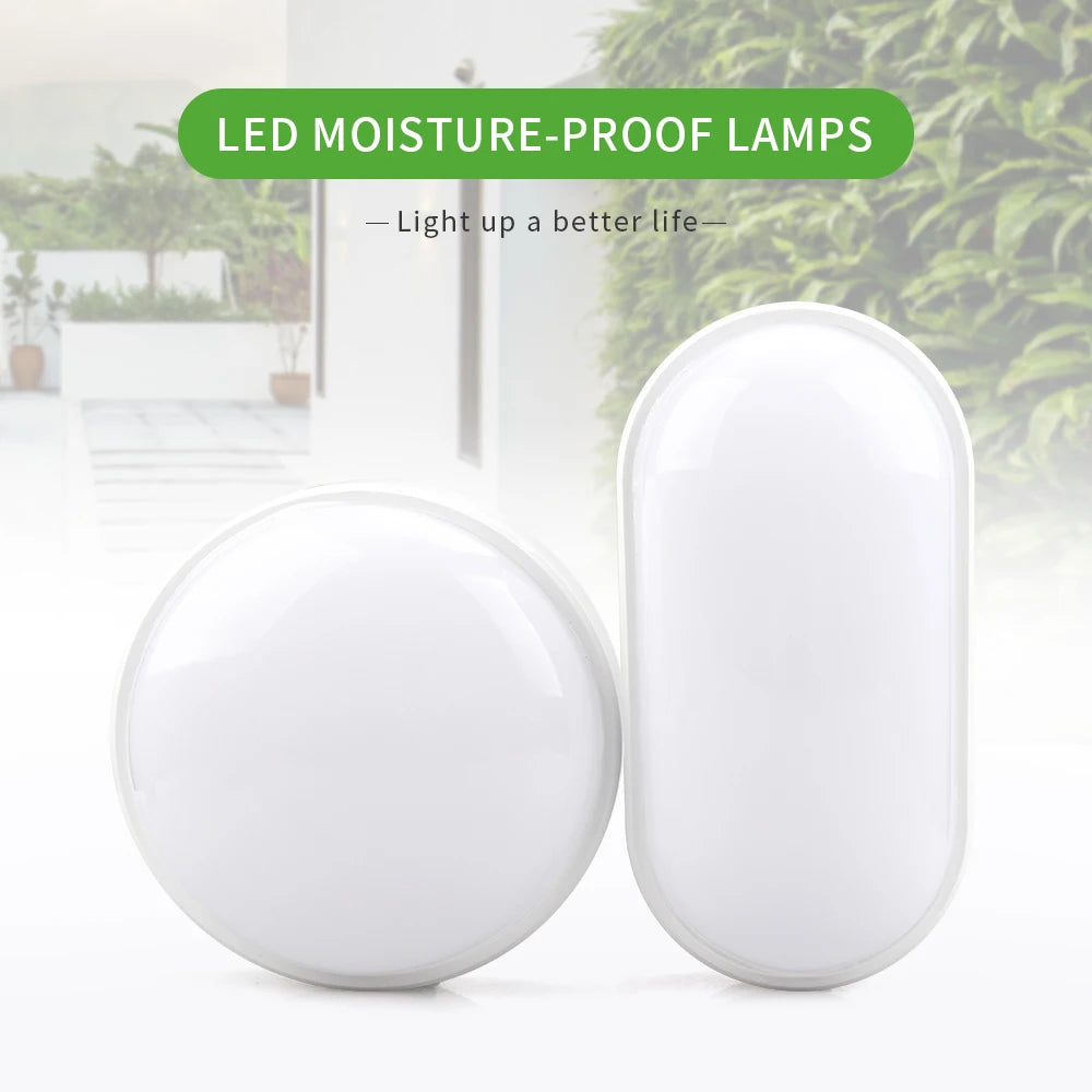 16W 20W Outdoor LED Wall Lamp Garden Porch Surface Mounted Oval Sconce Lighting Bathroom Moistureproof Ceiling Light AC85-265V