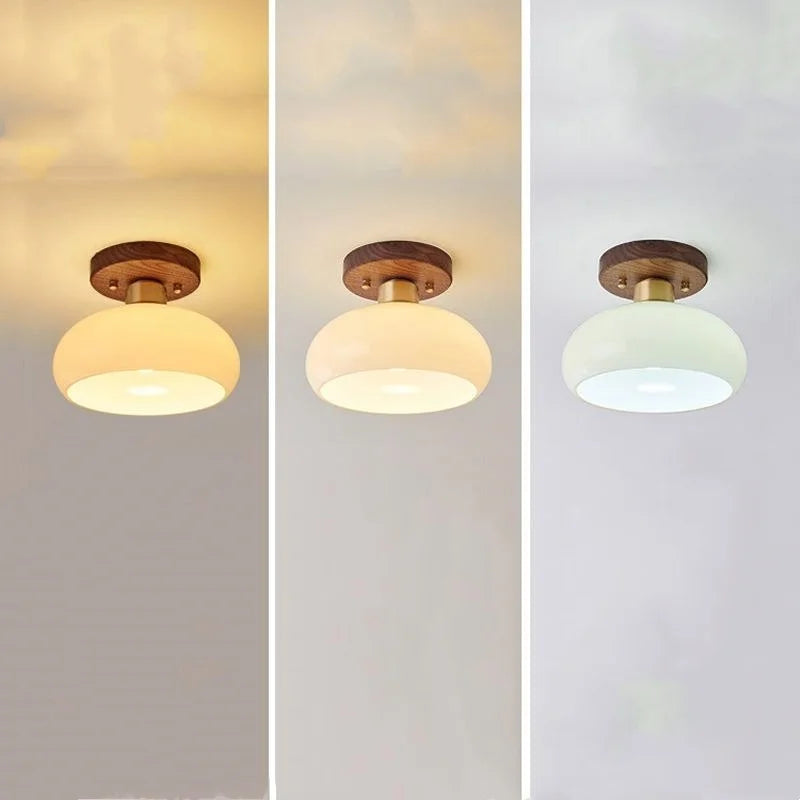 IWHD Walnut Copper LED Ceiling Lights Decoration Aisle Corridor Living Room Light Home Lighting Modern Ceiling lamp Luminaria