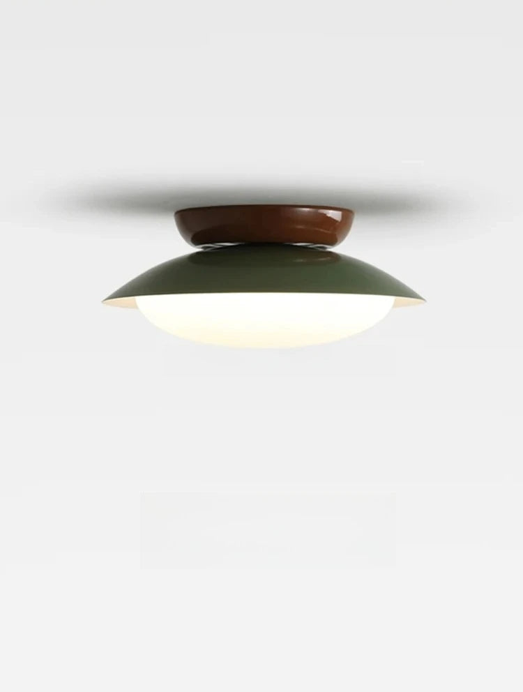 Modern New LED Ceiling Lamp Indoor Home Living Room Dining Room Study Bedroom Lighting