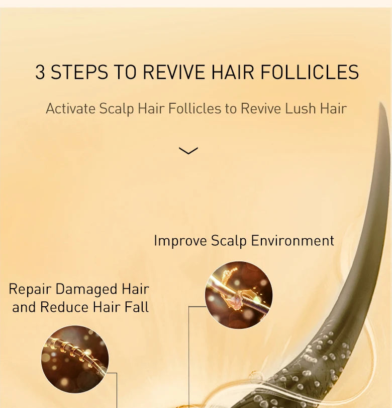 PURC Ginger Shampoo and Biotin Hair Growth Oil Set Fast Hair Growth Loss Treatment Hair Regrowth for Men Women Hair Care