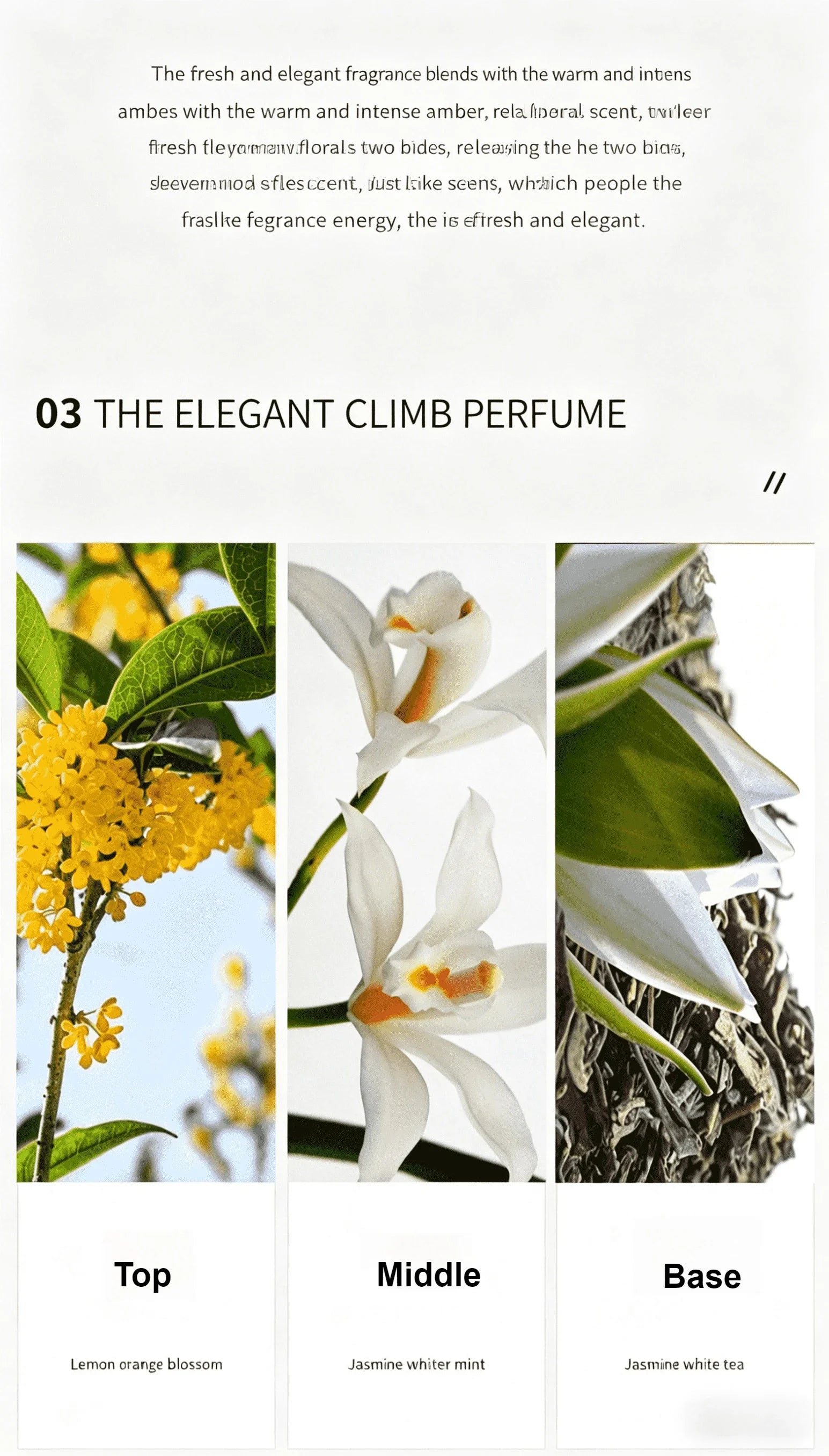 3-Piece Floral Scent Women Perfume Set Eau De Toilette Fresh Natural Long-Lasting Luxury Brand Dupe Same Fragrance 30ml*3 Brand
