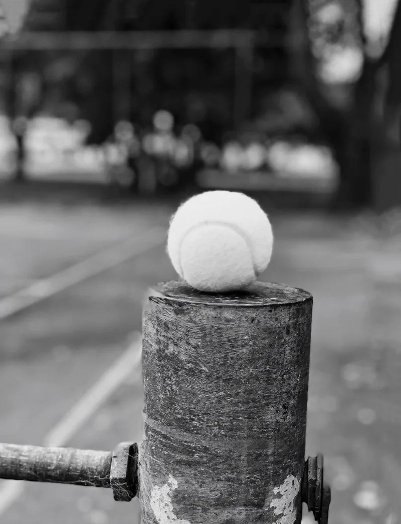 Classic Outdoor Sports Golf Tennis Basketball Black White Photography Art Poster Canvas Paintings Wall Art Pictures Home Deco