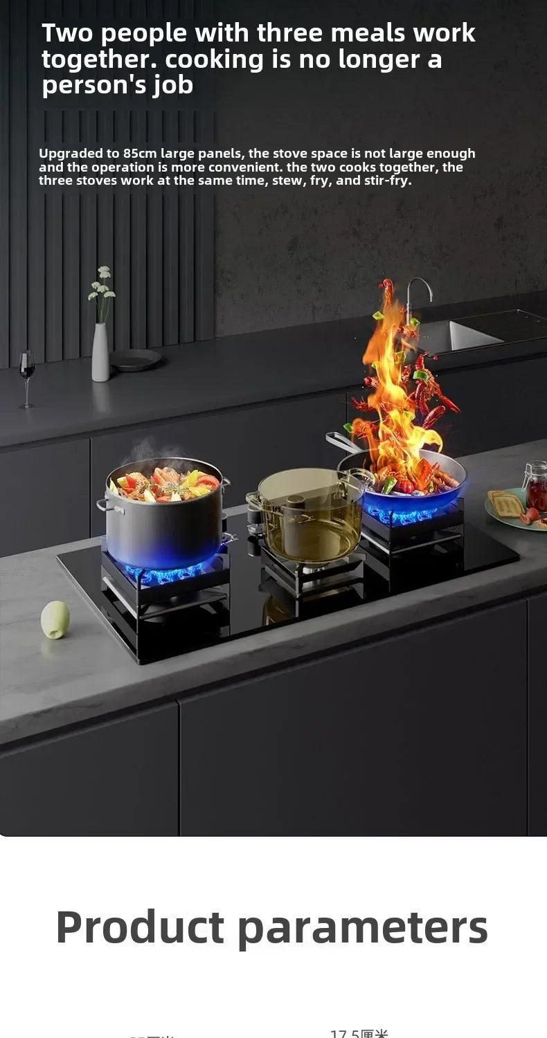 Embedded Three-Burner Gas Stove Dual Fuel Natural Gas LPG Household