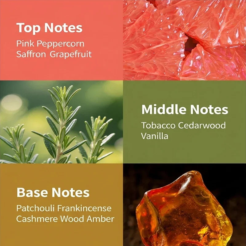 Luxury Amber Cedar Perfume 100ml,long-lasting Citrus-floral Notes,oriental-woody Eau De Toilette,charming Captivating Romantic