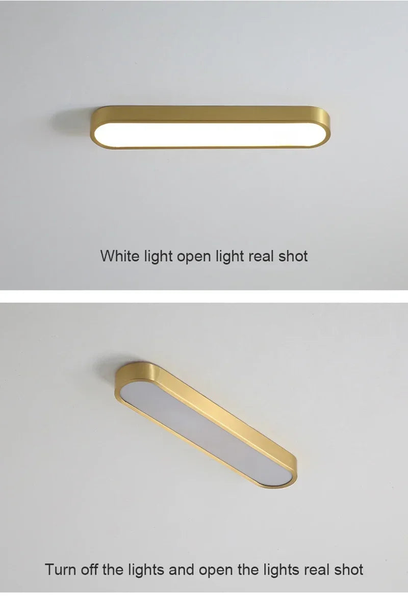 Nordic LED Ceiling Lamp Indoor Lighting Home Decoration For Living Room Bedroom Dining Table Cloakroom Corridor Cloakroom Light