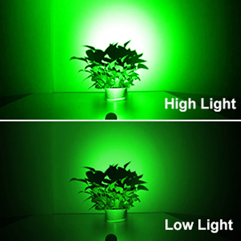 Solar Green Light Outdoor Garden Wall Lamp for Tree Street Decor IP65 Waterproof LED Landscape Countyard Solar Powered Light