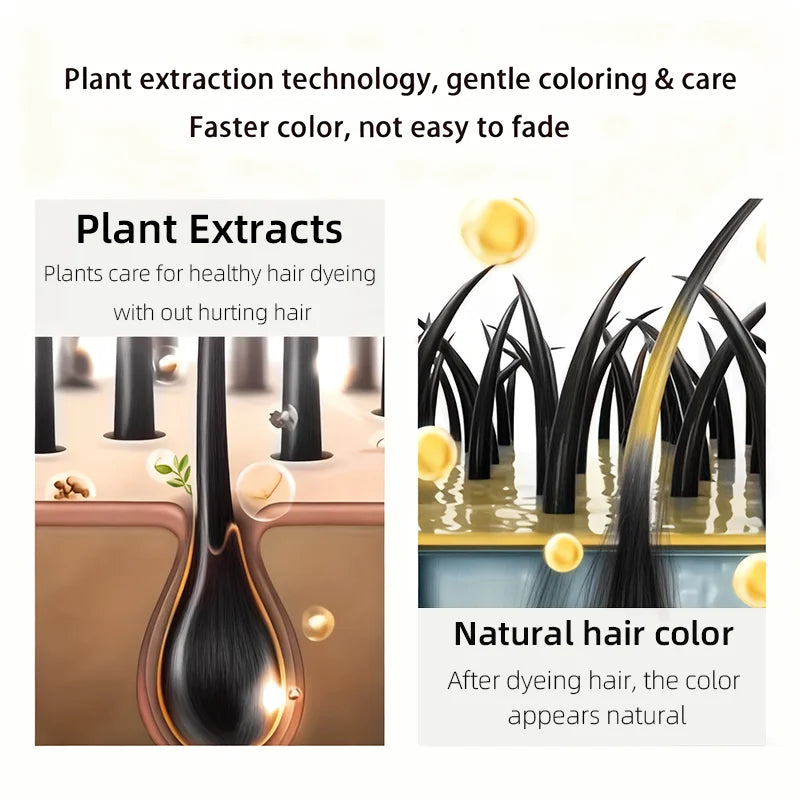 Obsidian Black Hair Dye Shampoo 100ml - 4-in-1 Plant Formula, Covers Gray Hair with Natural Color, Dense Bubbles, Lasting Color