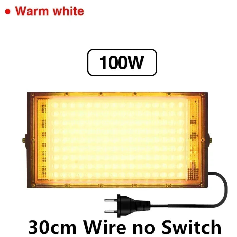 LED Floodlight 50W 100W AC220V 230V High Brightness Lighting Outdoor Waterproof Floodlight Outdoor Road Garden Courtyard Lights