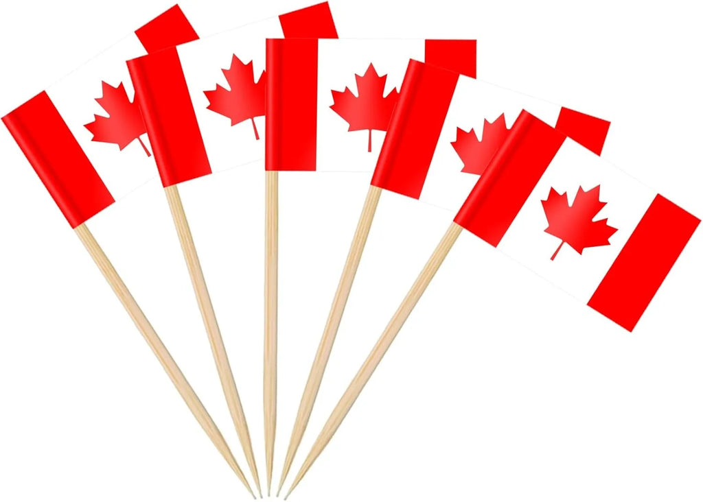 100 Pcs 10 Countries Toothpick Flags, Mini Flag Cupcake Toppers,Different Countries Flags Cocktail Picks for Party Decorations
