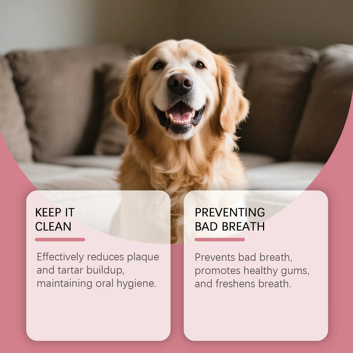30ML Pet Oral Spray for Cats & Dogs, Gentle Pet Mouth Freshener Spray, Clean Oral Residue Long‑Lasting Fresh Breath Daily Pet