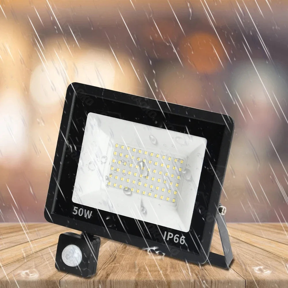 Led Spotlight With Motion Detector Outside Waterproof 220V 10W 20W 30W 50W 100W Street Ice Lamp Led Projector Lighting Focus