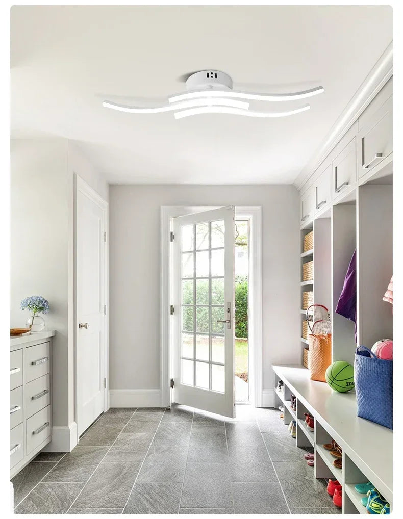 LED Ceiling Light, Dimming Light, Living Room, Bedroom, Dining Room, Corridor, Indoor Home Decoration Lighting