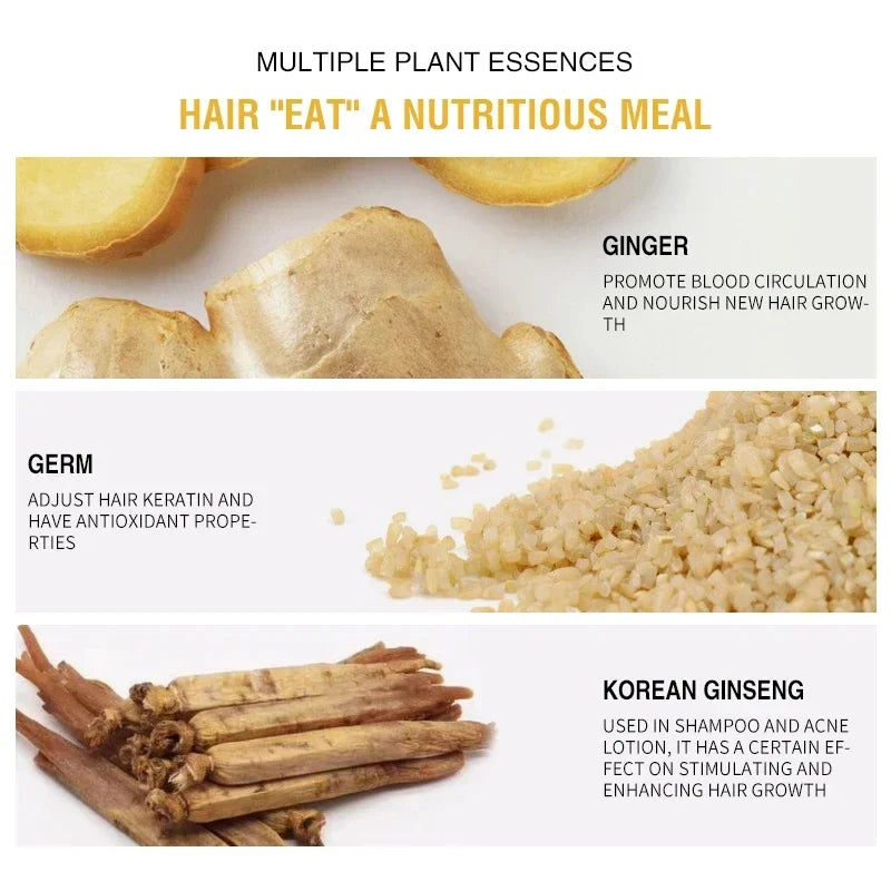 PURC Ginger Hair Growth Shampoo Fast Regrowth Anti Hair Loss Scalp Treatment Shampoo Thicken Nourishing Hair Care 100ml