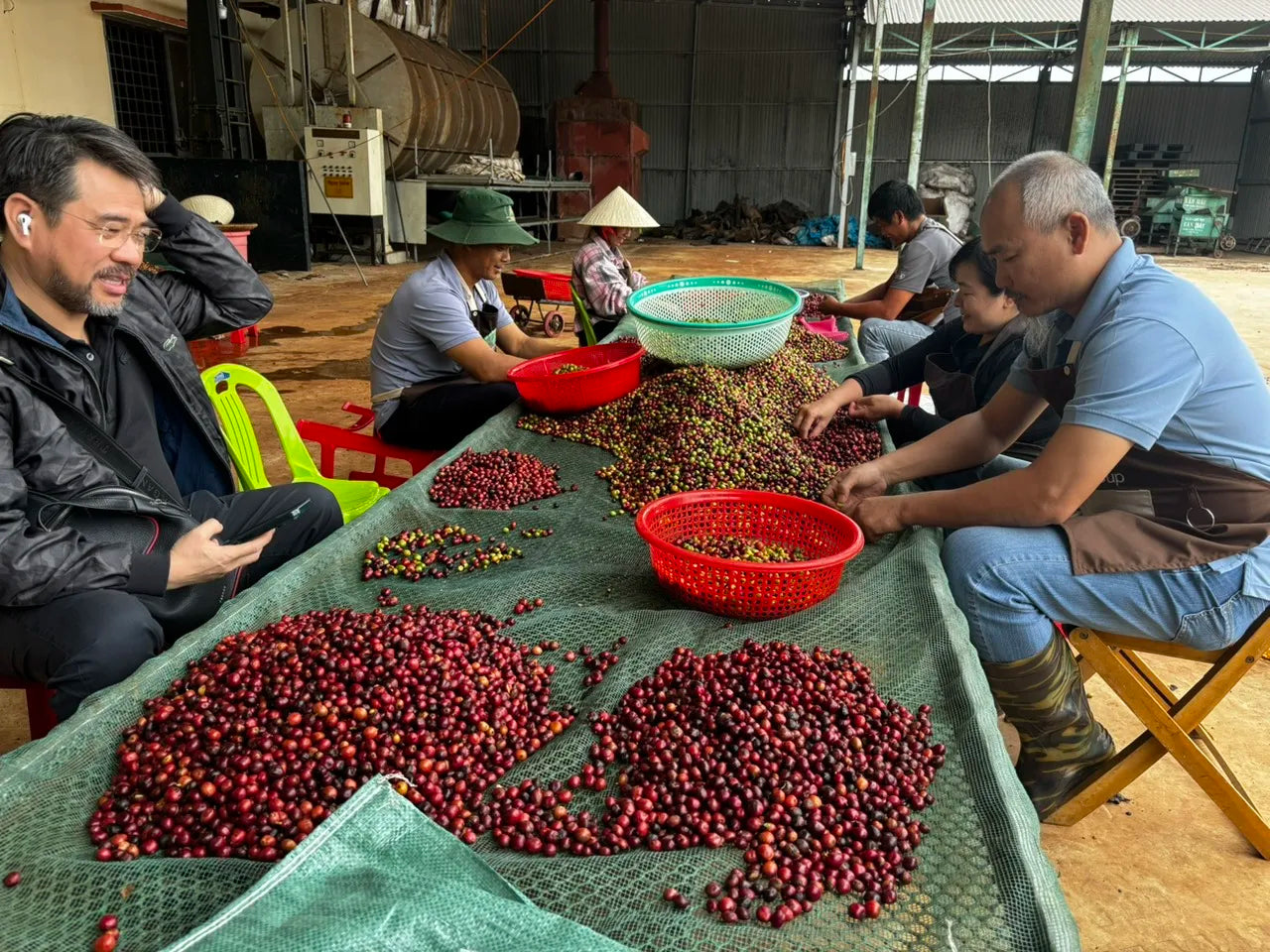 Vietnamese Arabica Robusta Dalakon Bazan 250g Bold Whole Bean French Roast Premium Grade Coffee Bag Packaging Sealing Zip Aroma