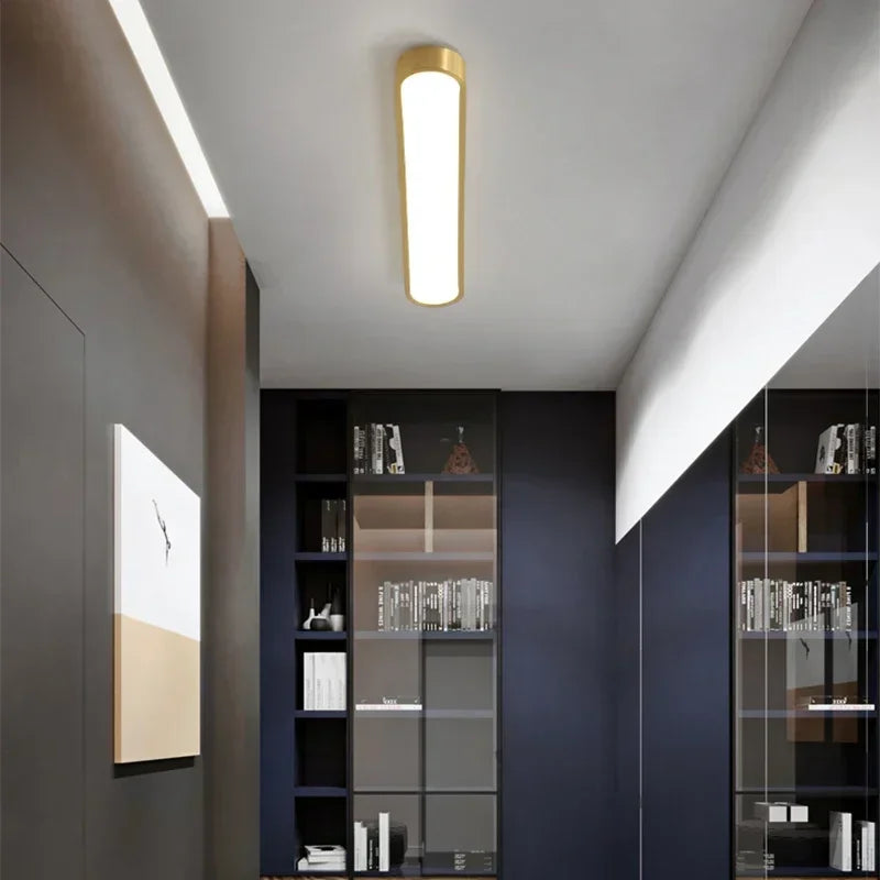 Nordic LED Ceiling Lamp Indoor Lighting Home Decoration For Living Room Bedroom Dining Table Cloakroom Corridor Cloakroom Light