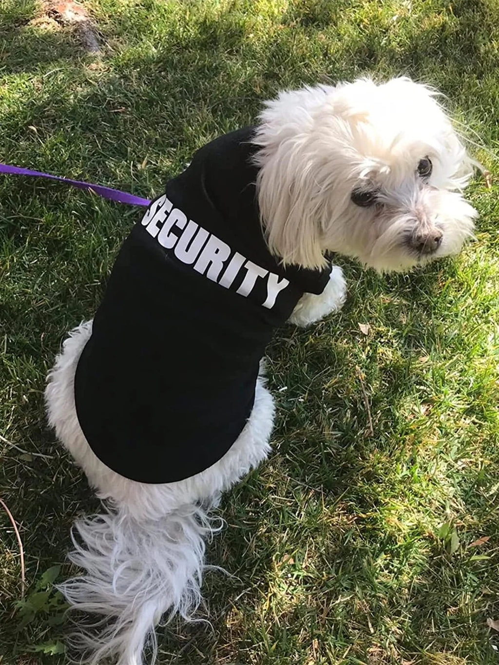 Dog and cat clothes breathable cute letter print thin cartoon pet sleeveless top