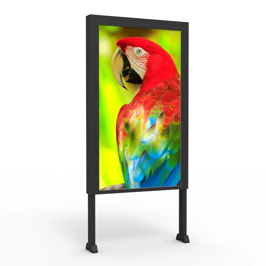 65 Inch 55 Inch Single Dual Side LCD Digital Signage High Brightness 2500 Nits Window Facing Advertising Android Player