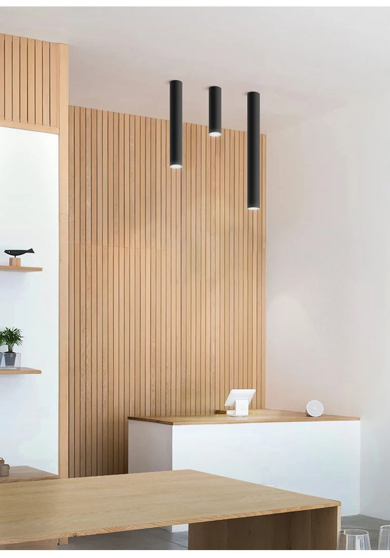 Nordic Light Indoor Lighting Led Ceiling Lamp Long Tube Surface Mounted Spot Light For Living Room Bedroom Corridor Store Art