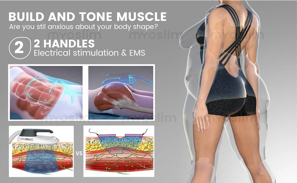 EMS 6500W EMSZero Muscle Stimulator RF Body Sculpting EMS NEW Portable Machine Slimming Weight Loss Electromagnetic
