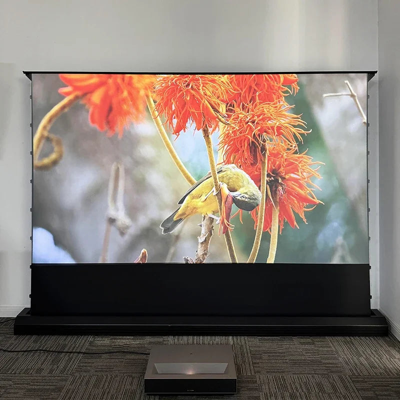 Motorized Floor Rising CLR Projection Screen Tab Tension 92 100 Inch Ambient Light Rejecting Electric for UST Projectors 3D 8K