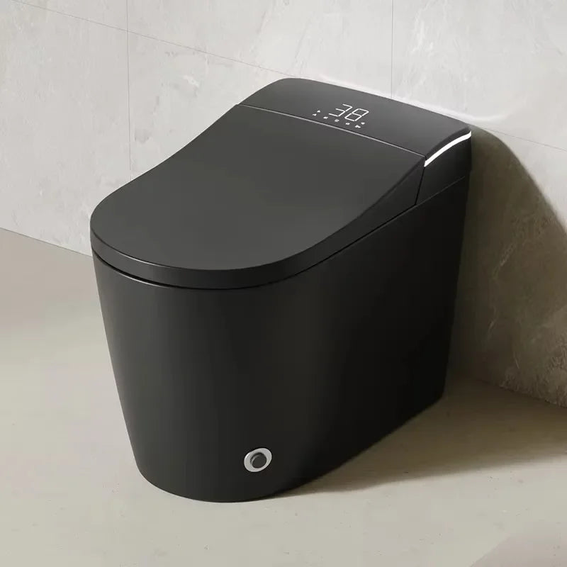 Modern Bathroom Smart Toilet Black Ceramic Automatic Electronic Control Bidet Wc Toilet