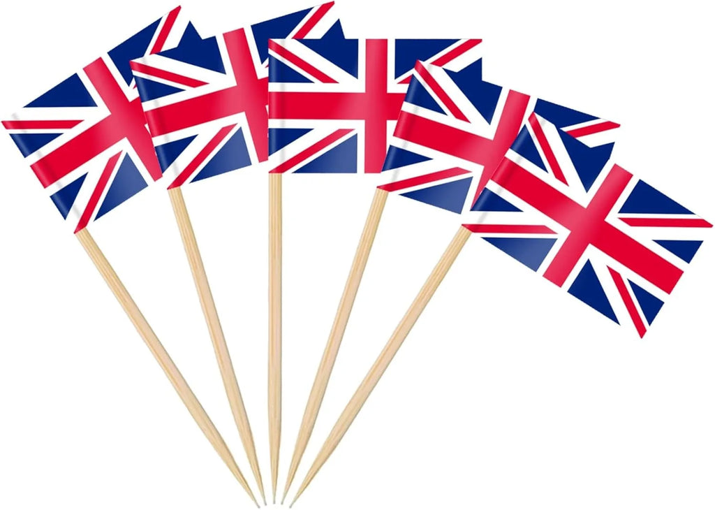 100 Pcs 10 Countries Toothpick Flags, Mini Flag Cupcake Toppers,Different Countries Flags Cocktail Picks for Party Decorations