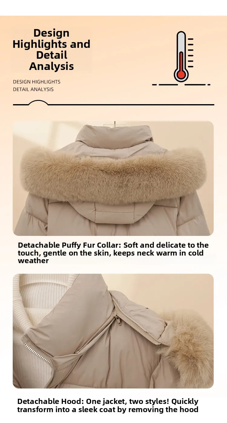 Korean Style Short down Cotton Jacket Women's Thickened Large Fur Collar Hooded Coat Slim Fit Commute Element  Color