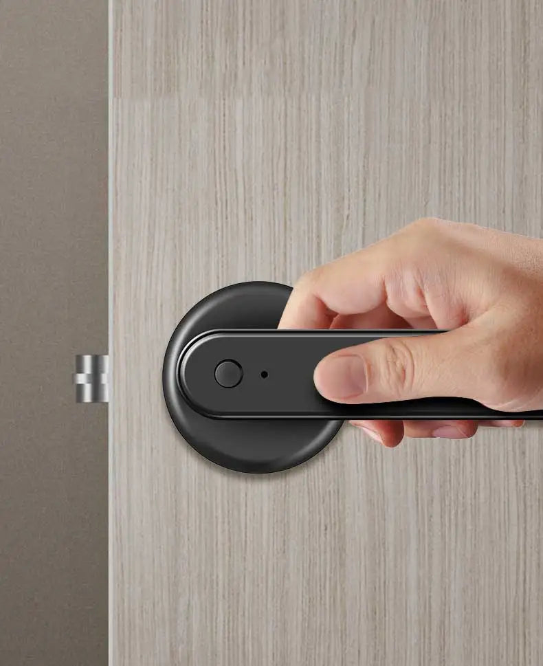 NAIERDI Smart Fingerprint Door Lock Tuya APP Bluetooth Keypad Card Entry Door Lock with Handle for Home Apartment Bedroom